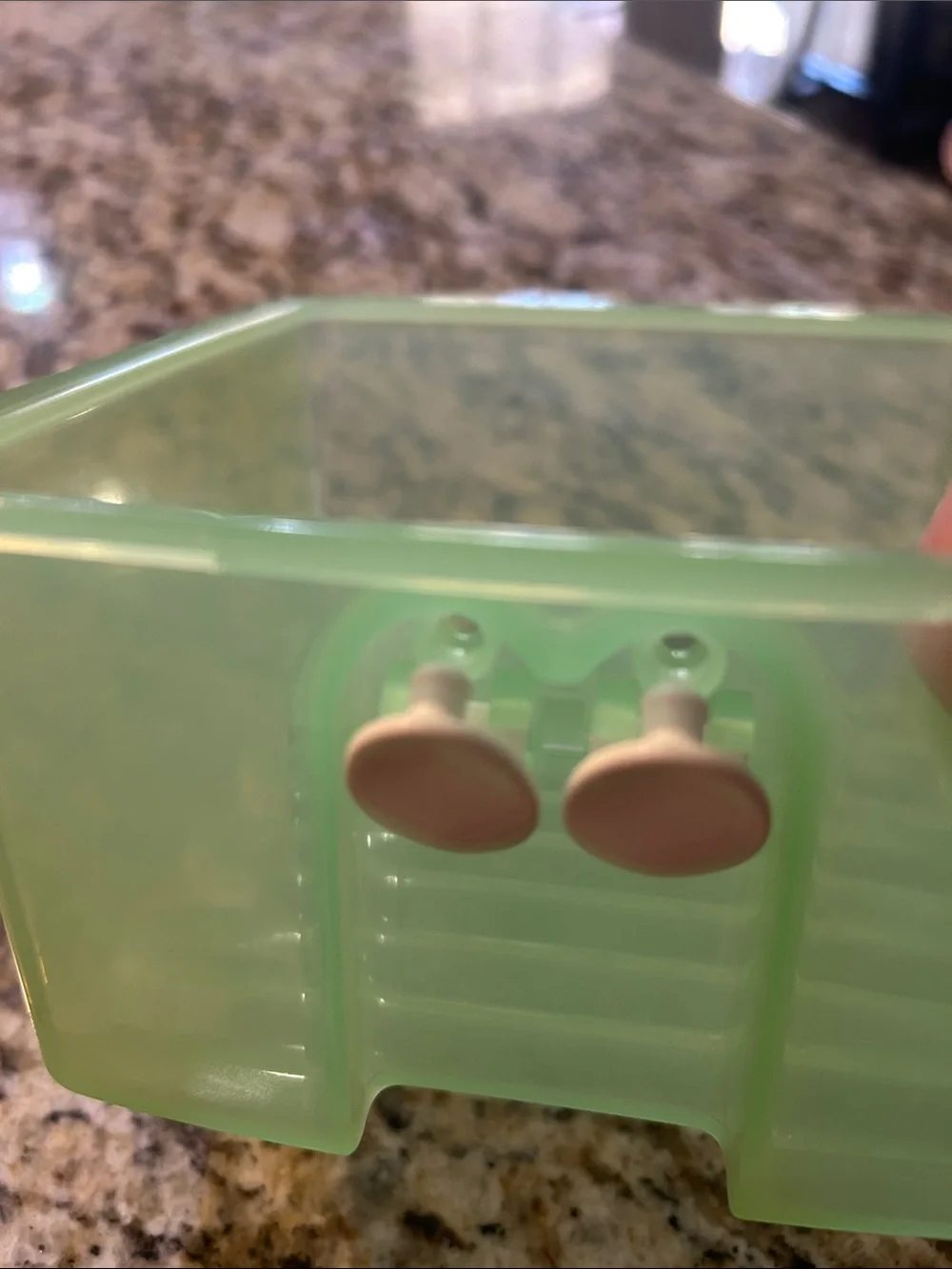 Green Vegetables Food Storage Container with Lid